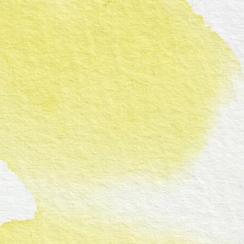 Winsor & Newton Professional Watercolor Half Pan - Winsor Lemon, Vibrant Colors