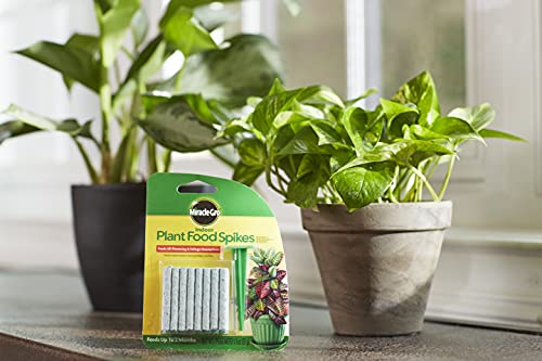 Miracle-Gro Indoor Plant Food Spikes - Slow-Release Fertilizer, 24 Count