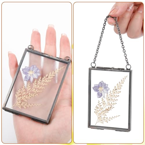 Black 20 Pcs Double Glass Frame for Pressed Flowers & Photos - Versatile Display