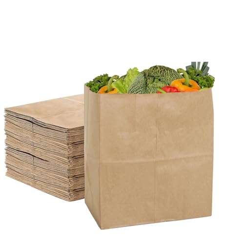 15 Pack Medium Kraft Paper Grocery Bags 12.9x5.5x9.8 inch, Eco-Friendly, 52LB Capacity
