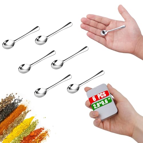 6PCS Mini Stainless Steel Spoons - 2.9 Inch Measuring Spoons for Spices & Sugar