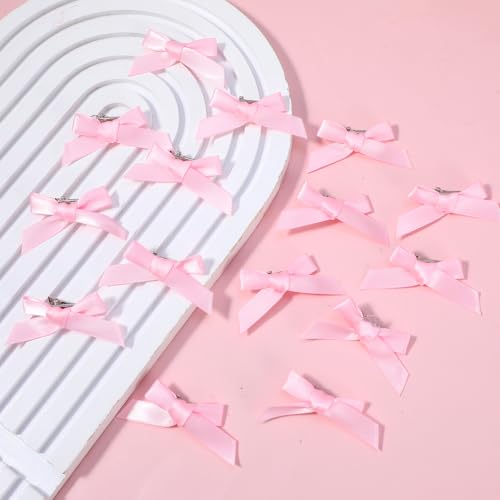 20 PCS Mini Pink Hair Bows, Satin Bow Hair Clips with Storage Box