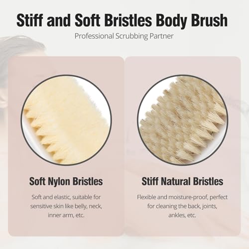 Dry Brushing Body Brush 2 Pack - Natural Bristle Exfoliating Shower Scrubber