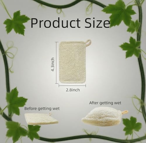 4 Pack Natural Loofah Sponges - Eco-Friendly Dish Cleaning