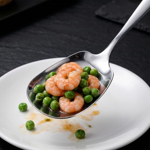 Ezymivs Stainless Steel Serving Spoon 9.5 Inch Heavy-Duty Metal Spoon