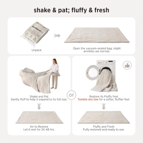 Queen Comforter Set - Cream Bedding, Prewashed Soft Cozy 90x90 Inches - Bedsure