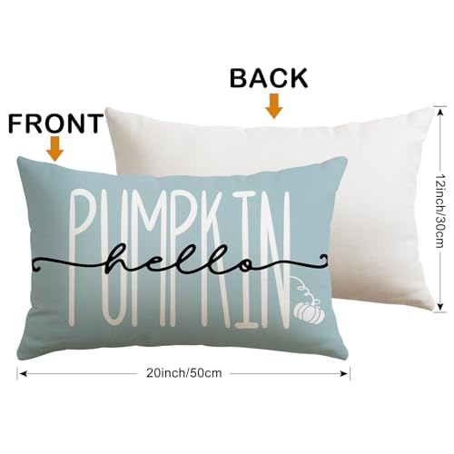 Fall Decorative Pillow Covers 12x20 Inch Set of 4 - Light Blue Pumpkin Design