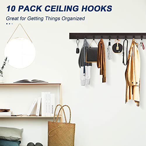 NearMoon Stainless Steel Ceiling Hooks - Matte Black, 10 Pack Heavy Duty
