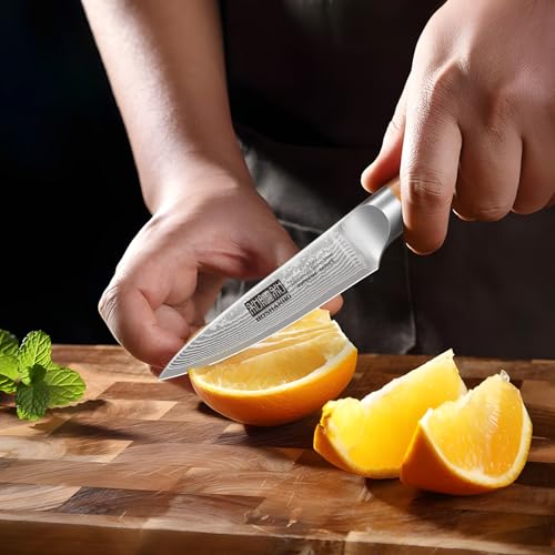 HOSHANHO Damascus Paring Knife 3.75 Inch Sharp Japanese HC Steel Fruit Knife - Unique Damascus Pattern