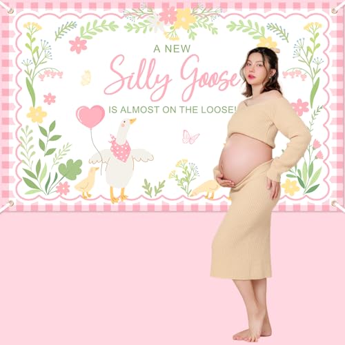Silly Goose Baby Shower Banner - Pink Plaid Floral Backdrop (6x3.6ft)