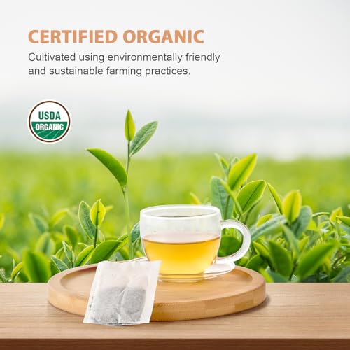 Soeos Organic Oolong Tea, 100 Tea Bags, Premium Hot & Cold Brew Tea