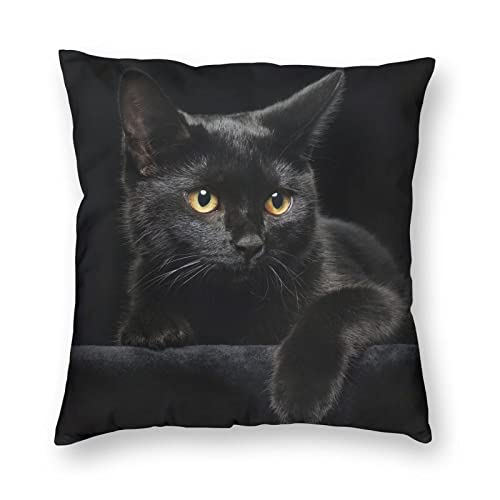 Black Cat Decorative Throw Pillow Cover - 18x18 Inch Soft Plush Case