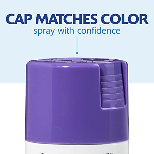 Rust-Oleum Painter's Touch 2X Ultra Cover Spray Paint, Gloss Grape, 12 oz (4 Pack)