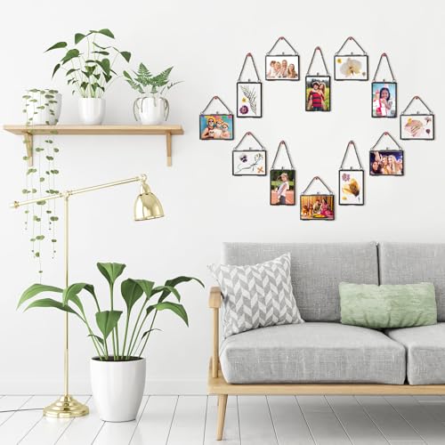 Black 20 Pcs Double Glass Frame for Pressed Flowers & Photos - Versatile Display
