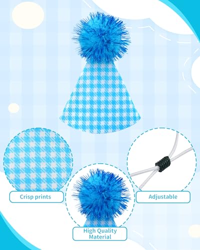 PET SHOW 10-Pack Mini Party Hats for Small Dogs, Cats & Stuffed Animals