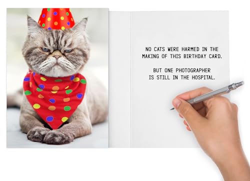 Grumpy Cat Birthday Card - Funny Greeting Card with Bonus Postcard