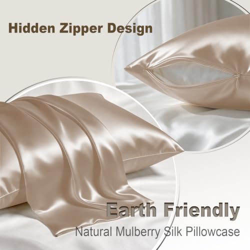 LYSHIN 19 Momme Mulberry Silk Pillowcase, Standard Size (20"x26"), Champagne
