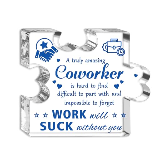 Inspirational Farewell Plaque Gift for Coworkers | Clear Acrylic Keepsake