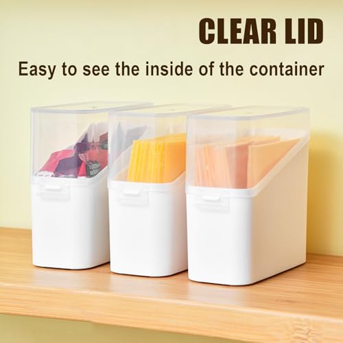 Airtight Sliced Cheese Storage Container - 2 Pack, Clear