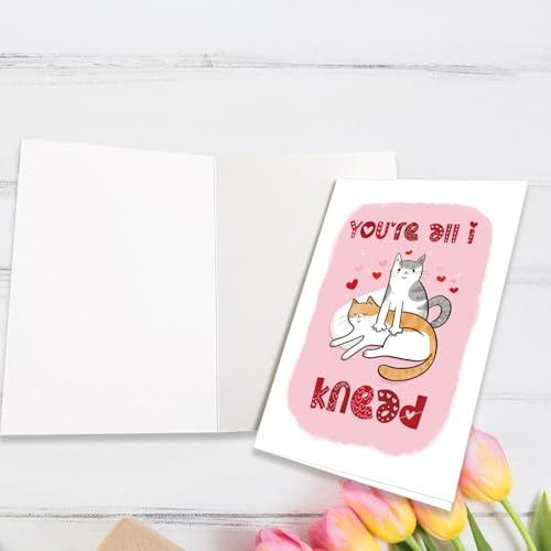 Cute Cat Pun Anniversary Card for Cat Lovers - 8x5.3 in