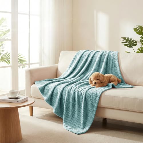 Exclusivo Mezcla Celadon Large Fleece Throw Blanket for Couch & Sofa 50x70 in