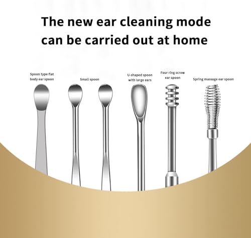 Speetop 6-Piece Stainless Steel Ear Wax Removal Kit with Storage Box