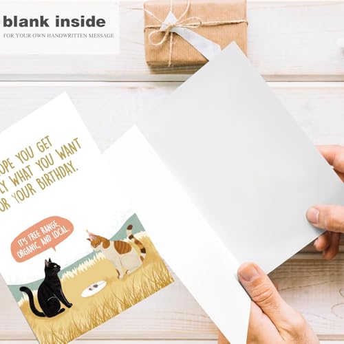 Funny Birthday Card for Cat Lovers - Blank Inside, 8x5.3in