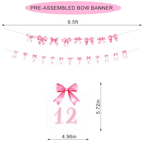 Pre-Strung Pink Bow 1st Birthday Photo Banner with Clips