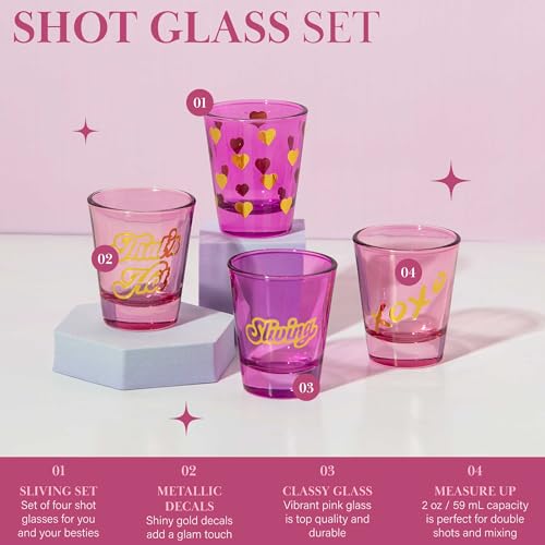 Paris Hilton 4-Piece Shot Glass Set - 2 oz Fun Decals in Pink