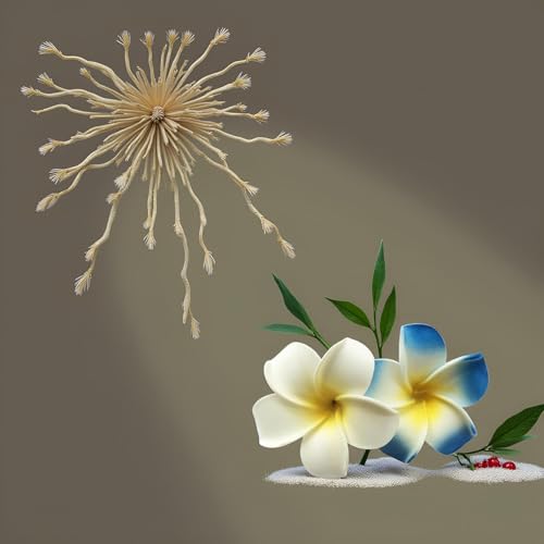 Zhuluck Hawaiian Flower Hair Clips 7cm White and Blue Foam Plumeria