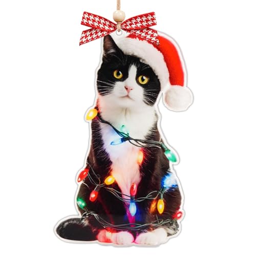 Personalized Black Cat Christmas Ornament 2025 - Funny Tree Decor