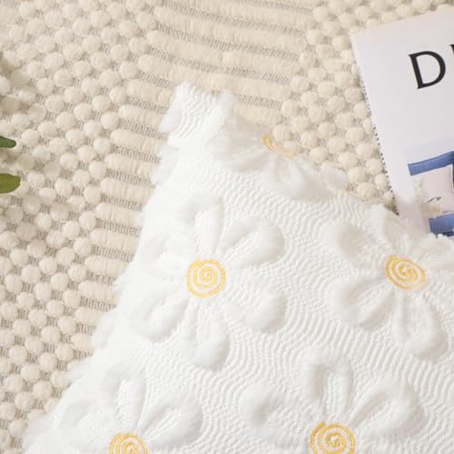 Daisy Spring Pillow Covers 18x18 inch Set of 2 - Soft Plush Polyester