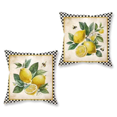 Lemon Decorative Pillow Covers 18x18 Inch Set of 2 - Black Plaid