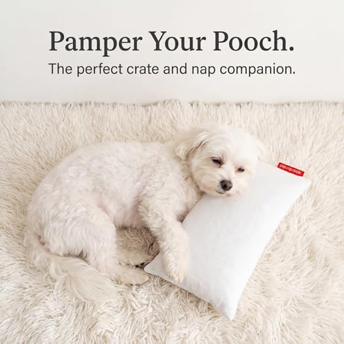 Urban Infant Pipsqueak Travel Pillow - Small 11x7in Microfiber, Gray