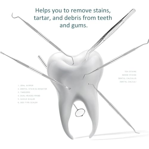 Dentasop Dental Tartar Scraper & Teeth Cleaning Tool