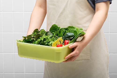 LocknLock Fresh-Block Produce Storage Container, 1.5L - BPA Free