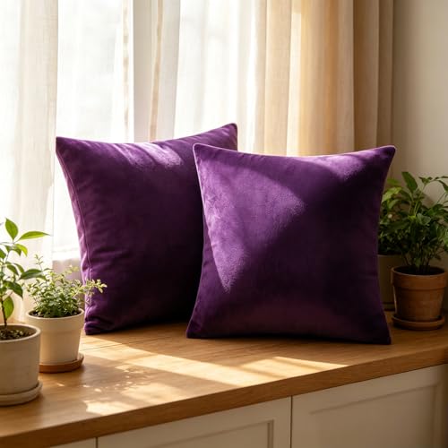 Bunliuys 2 Pack 18x18 Velvet Throw Pillow Covers - Eggplant Purple