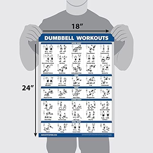 Palace Learning Dumbbell Workout Poster - Laminated Free Weight Bodybuilding Guide | 18" x 24" Home Gym Chart