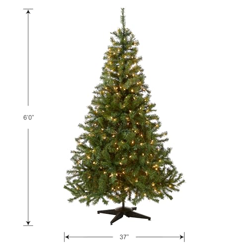 National Tree Company 6ft Pre-Lit Artificial Kincaid Spruce Christmas Tree - Tree Variation