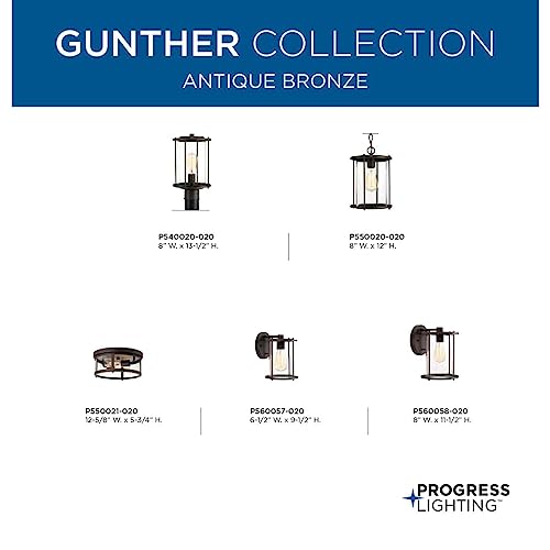 Progress Lighting Gunther Collection 2-Light Clear Glass Farmhouse Outdoor Flush Mount Light Antique Bronze, 5.75x12.63x12.63