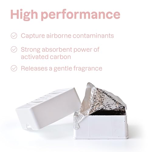 ATTITUDE Natural Odor Eliminator, Activated Carbon Air Purifier - Small