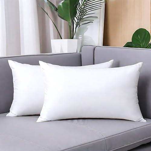 Hypoallergenic Throw Pillow Insert - Rectangle Lumbar Cushion, 12 x 20 Inches
