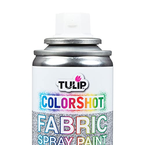 Tulip ColorShot Instant Fabric Spray Paint - 3oz Silver Shimmer