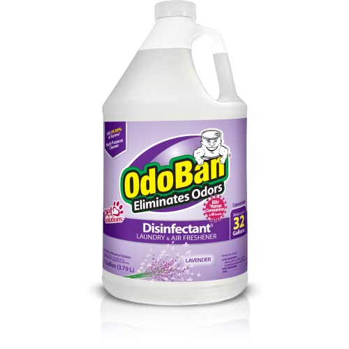 OdoBan Disinfectant Concentrate and Odor Eliminator, Lavender, 1 Gallon