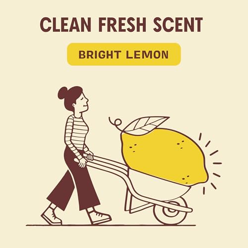 Aunt Fannie's Wood Surface Cleaning Wipes, Lemon, 35 Count