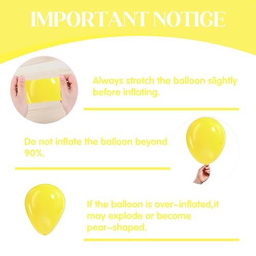Lazy Time Ocean Cartoon Balloon Arch Kit 101Pcs Yellow Blue Pineapple Party Decor - Sponge Variation