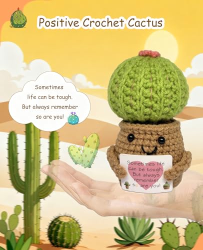 Handmade Emotional Support Crochet Cactus Desk Decor Gift