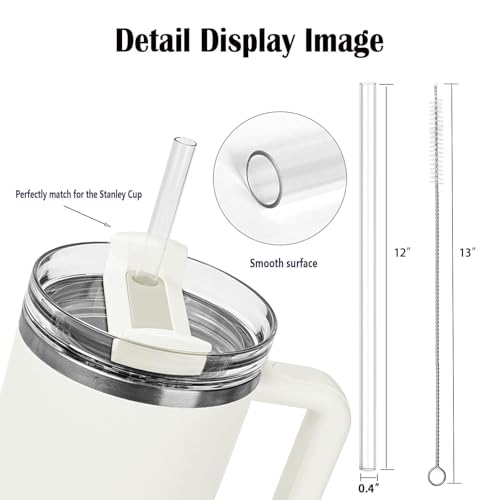MOLOVA Reusable Replacement Straws for Stanley Cup 4-Pack BPA-Free