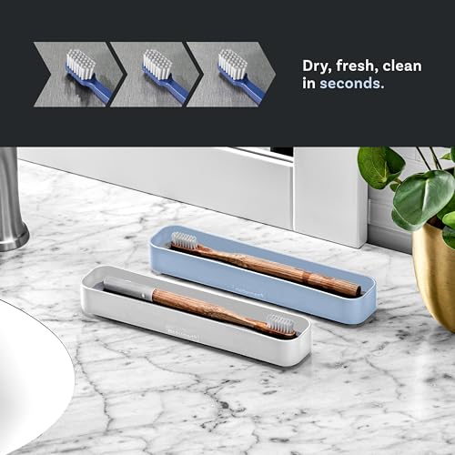 madesmart Blue Drying Stone Toothbrush Tray - Hygienic & Space-Saving