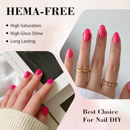 Rosiour HEMA-Free Pink Gel Nail Polish Kit with Chrome Powder